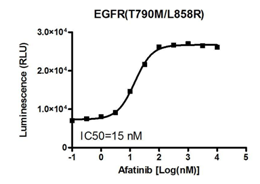Image of Afatinib