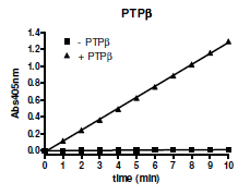 PTPβ