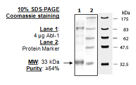 Image of Abl Kinase Mutant (T315I) 