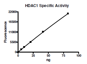 HDAC1