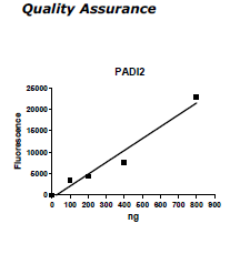 PADI2, FLAG-tag