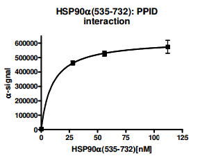  HSP90α (C-Terminal) Inhibitor Screening Assay Kit 