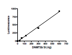 DNMT3B/DNMT3L Complex, His-tag