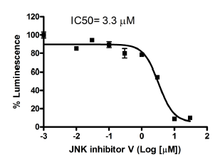 Image of AP-1 Reporter – HEK293 Cell Line (JNK signaling pathway