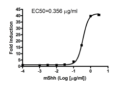 Gli Reporter - NIH3T3 Cell line (Hedgehog Pathway)