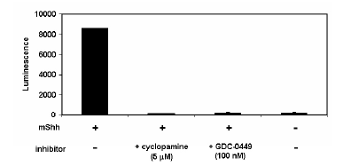 Image of Gli Reporter – NIH3T3 Cell line (Hedgehog Pathway)