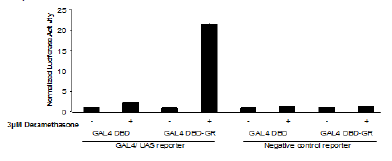 GAL4 Reporter Kit (Glucocorticoid Receptor Pathway)