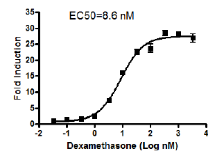 Image of GAL4 Reporter Kit (Glucocorticoid Receptor Pathway)