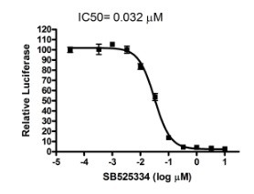 SBE Reporter Kit (TGFβ/SMAD signaling pathway)