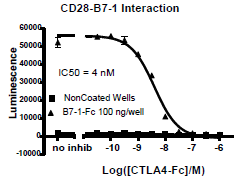 CD28:B7-1[Biotinylated] Inhibitor Screening Assay Kit
