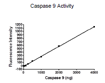 Image of Caspase9