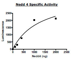 Image of NEDD4