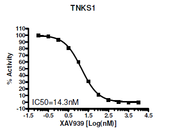 TNKS2 Histone Ribosylation Colorometric Assay Kit