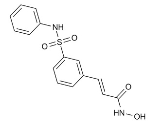 Belinostat (PXD101)