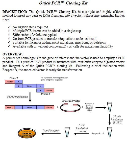 Quick PCR™ Cloning Kit with competent cells | West Bioscience